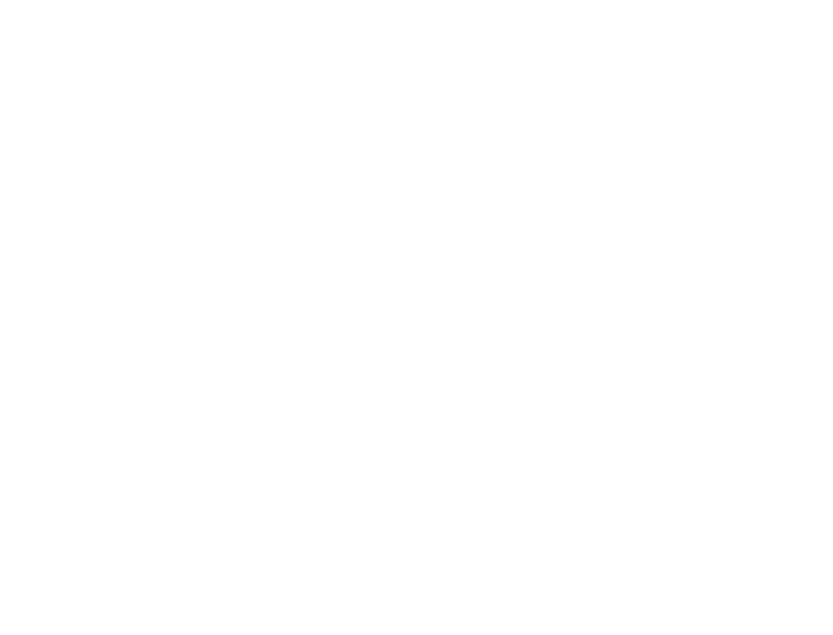Blank Sneakers